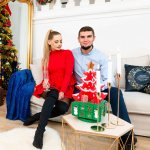 Springos CA1073 VÁNOČNÍ OZDOBNÁ VÁNOČNÍ STROMEČEK 19X19X41 CM – Hledejceny.cz