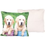 Vesna Darlan pink 40 x 40 cm – Zboží Dáma