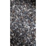 Fauna Hradil Slunečnice velká žíhaná 10 kg – Zboží Dáma