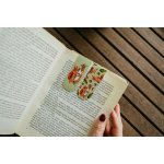 Magnetické záložky Veverky | ePiPí | – Zboží Mobilmania