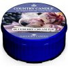 Svíčka Country Candle BLUEBERRY CREAM POP 42 g