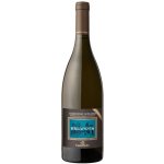 Castelfeder Burgum Novum Chardonnay Riserva Alto Adige DOC bílé suché 2017 14% 0,75 l (holá láhev) – Hledejceny.cz