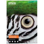 Epson C13S450289