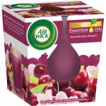 Air Wick Essential oils Višňový čaj 105 g – Zboží Mobilmania