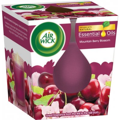 Air Wick Essential oils Višňový čaj 105 g – Zboží Mobilmania