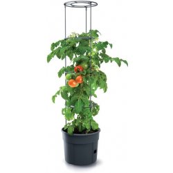 Prosperplast Květináč na pěstování rajčat TOMATO GROWER antracit 29,5 x 29,5 x 23,6cm