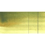 Roman Szmal akvarelová barva Aquarius 363 Autumn Green – Zboží Mobilmania