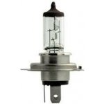 Narva H4 12V 60/55W 48861 RANGE POWER+50% – Hledejceny.cz