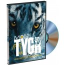 modrý tygr DVD