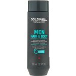 Goldwell Dualsenses For men Refreshing Mint Shampoo 300 ml – Hledejceny.cz