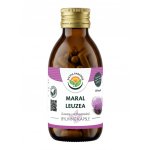 Salvia Paradise Maral - Leuzea kapsle 120 ks – Hledejceny.cz
