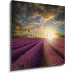 Skleněný obraz 1D - 50 x 50 cm - Vibrant Summer sunset over lavender field landscape Vibrantní letní západ slunce nad levandule krajiny – Hledejceny.cz
