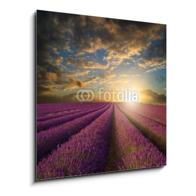 Skleněný obraz 1D - 50 x 50 cm - Vibrant Summer sunset over lavender field landscape Vibrantní letní západ slunce nad levandule krajiny – Hledejceny.cz