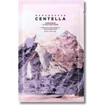 SKIN1004 Madagaskar Centella Poremizing Clarifying Mask Maska pro zmenšení viditelnosti pórů 23 ml – Sleviste.cz