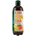 Topnatur Top bio Kombucha Malina 0,5 l – Hledejceny.cz