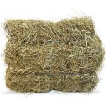 Plavnická Hranatý balík BIO sena 10 kg – HobbyKompas.cz