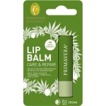 Primavera Regenerační balzám pro suché rty Care & Repair Lip Balm 4,6 g – Zboží Dáma