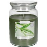 Bispol Aura Maxi Green Tea 500 g – Zbozi.Blesk.cz
