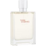 Hermes Terre d´Hermès Eau Givrée parfémovaná voda pánská 100 ml – Hledejceny.cz