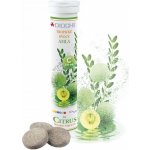 Diochi Citrus Amla šumivé tablety s Vitamínem C 20 tablet – Hledejceny.cz