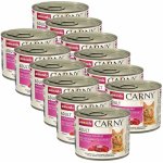 Carny Adult masový koktejl 12 x 200 g – Hledejceny.cz