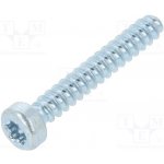 BOSSARD 3304819 Vrut; pro plasty; 3x20; Hlava: válcová; Torx® PLUS; 10IP; ocel – Hledejceny.cz