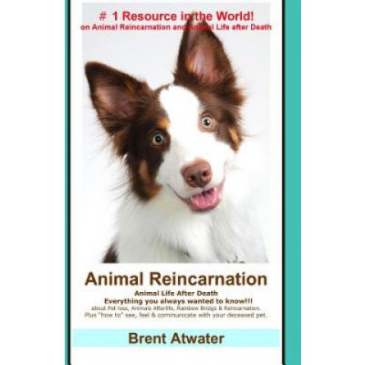 Animal Reincarnation – Hledejceny.cz