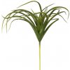 Květina Tillandsia zelená, 25cm