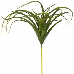Tillandsia zelená, 25cm