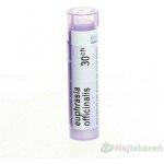 EUPHRASIA OFFICINALIS POR 30CH GRA 1X4G – Hledejceny.cz
