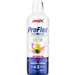Amix ProFlex Collagen + UC-II Liquid garden fruit 1000 ml – Hledejceny.cz