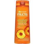 Garnier Fructis Goodbye Damage Energising Shampoo 250 ml – Hledejceny.cz