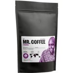 Mr. Coffee Pražená káva 100% arabica Ethiopia Sidamo zrnková 0,2 kg – Hledejceny.cz