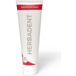 Herbai HERBADENT PROFESSIONAL s 0,12 % CHX 40 g – Hledejceny.cz