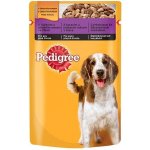 Pedigree Adult kuřecí & jehněčí 100 g – Hledejceny.cz