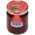 Nature Notea Pečený čaj Lesní směs 60 ml – Hledejceny.cz