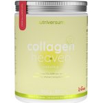Nutriversum Collagen Heaven ananas 300 g – Hledejceny.cz