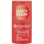 essence WHAT A TINT! multifunkční líčidlo na rty a tváře 20 Grapefruit Bliss 5 g – Hledejceny.cz