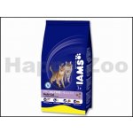 Iams ProActive Health Adult Multi Cat kuře & losos 15 kg – Sleviste.cz