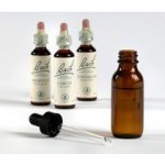 Bachovy květové esence Vřes obecný Heather 20 ml – Hledejceny.cz