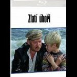 Zlatí úhoři BD – Hledejceny.cz