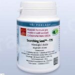 Maciocia Hledající duše T79 60 tablet – Hledejceny.cz