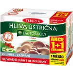 Terezia Company Hlíva ústřičná + laktobacily + vitamin C 60 kapslí – Hledejceny.cz