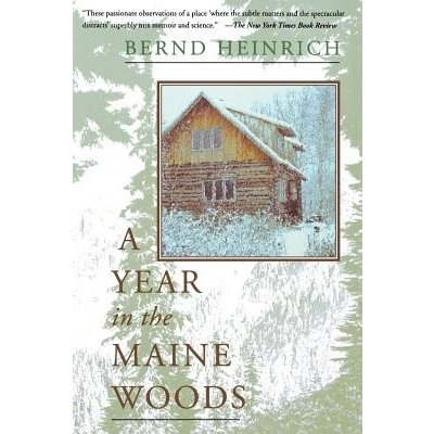 A Year in the Maine Woods Heinrich Bernd Paperback