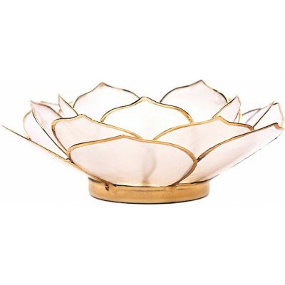 Nefertitis Svícen lotos otevřený květ bílý NF20869 - cca 13,5 cm – Zboží Dáma