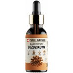 Pure Chemical esenciální olej HŘEBÍČEK bez přísad 30 ml – Hledejceny.cz
