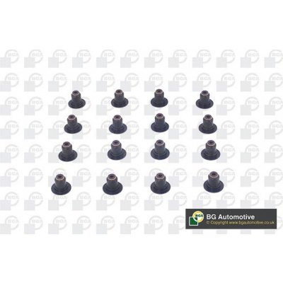 Sada těsnění, dřík ventilu BGA VK1379 | Zboží Auto