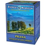 Everest Ayurveda PRANA Povzbuzení vitality a životní energie 100 g – Hledejceny.cz