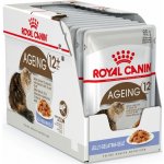 Royal Canin Feline Ageing 12 + Jelly 12 x 85 g – Hledejceny.cz