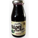 Nature NoTea Gabík Ovocný nápoj Borůvka 200 ml – Sleviste.cz
